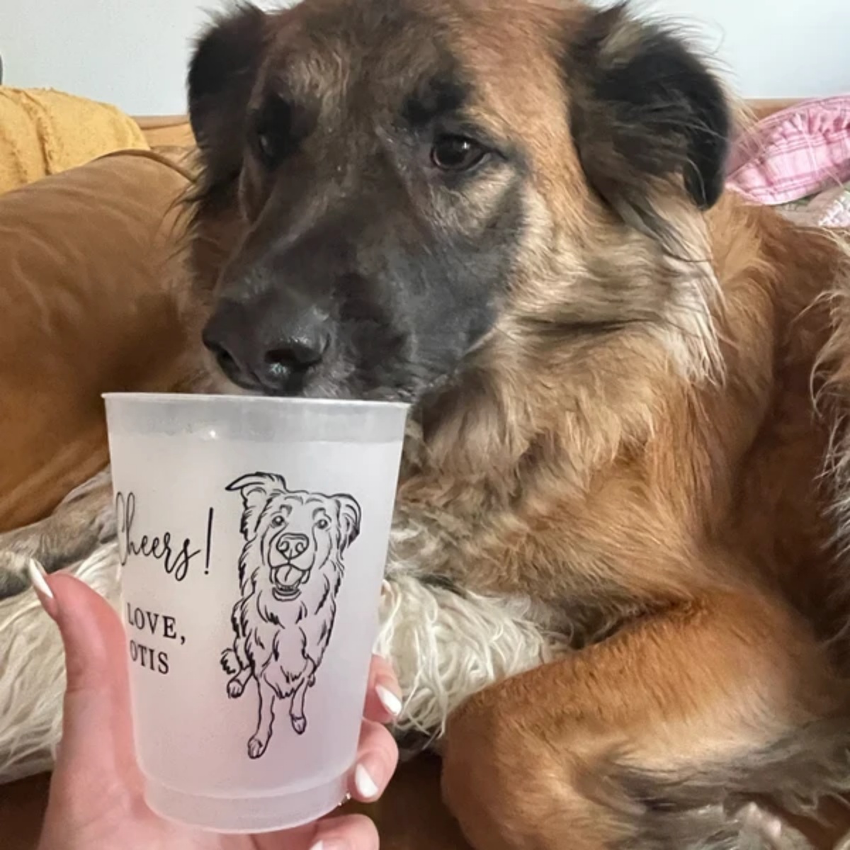 10/50 Personalized Barn Weddin - Plastic Cup 50Pcs review and price